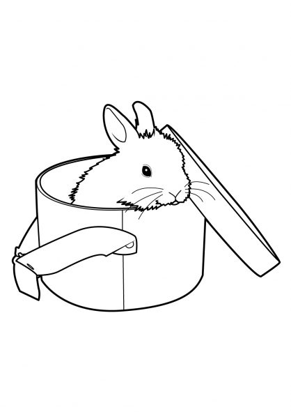 Conejo #3064