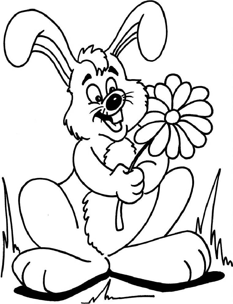 Conejo #3069