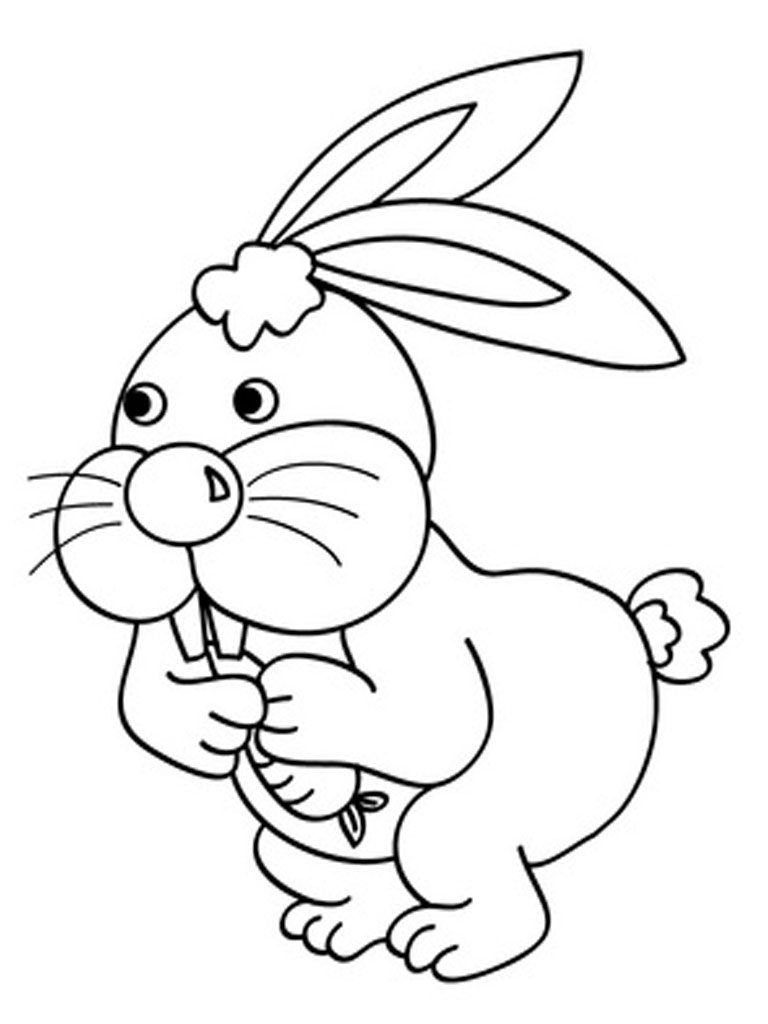 Conejo #3073