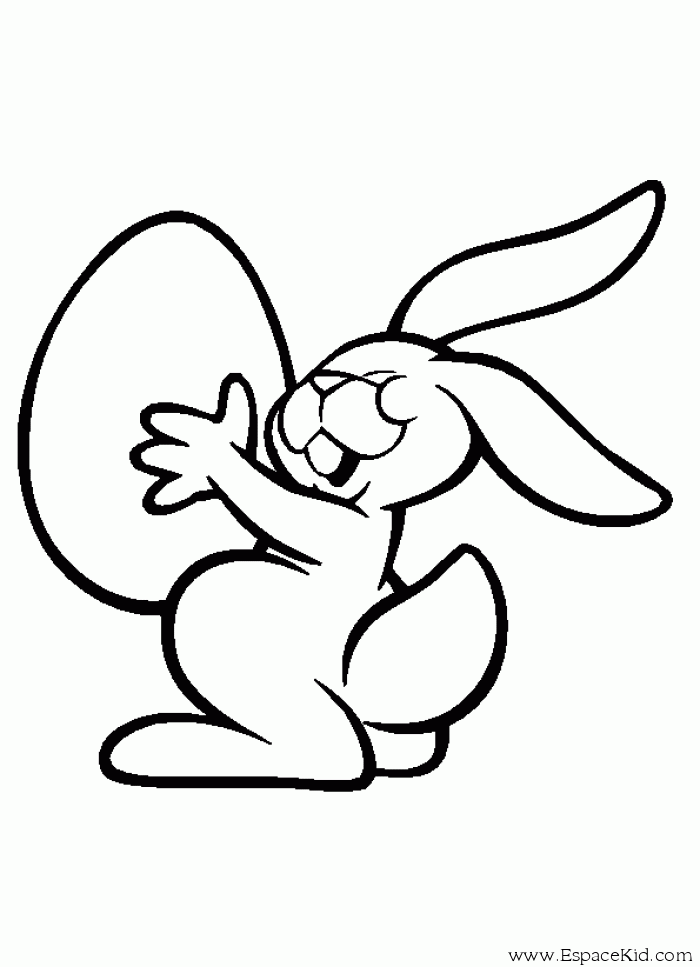 Conejo #3082