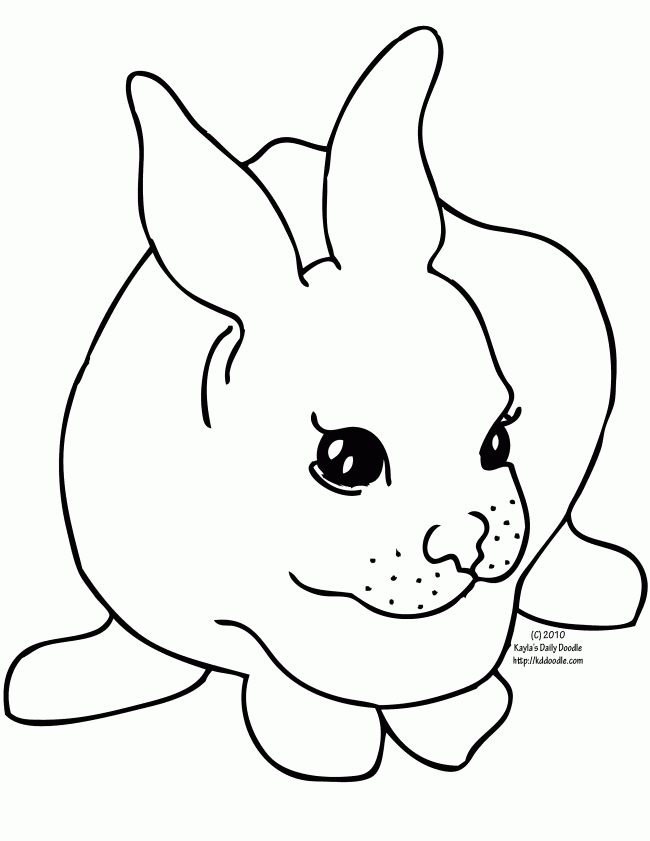 Conejo #3084