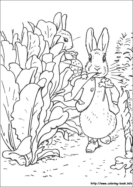 Conejo #3086