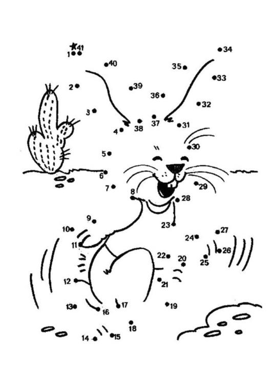 Conejo #3091