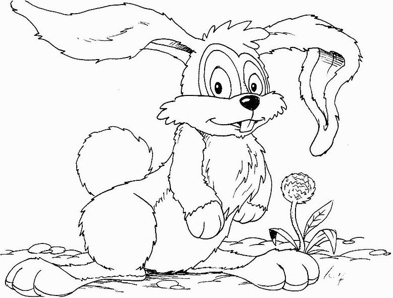 Conejo #3126