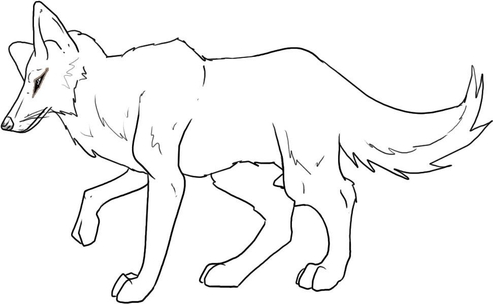 Coyote #3198