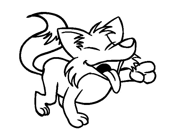 Coyote #3209