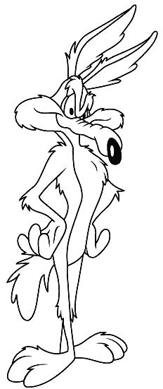 Coyote #3215