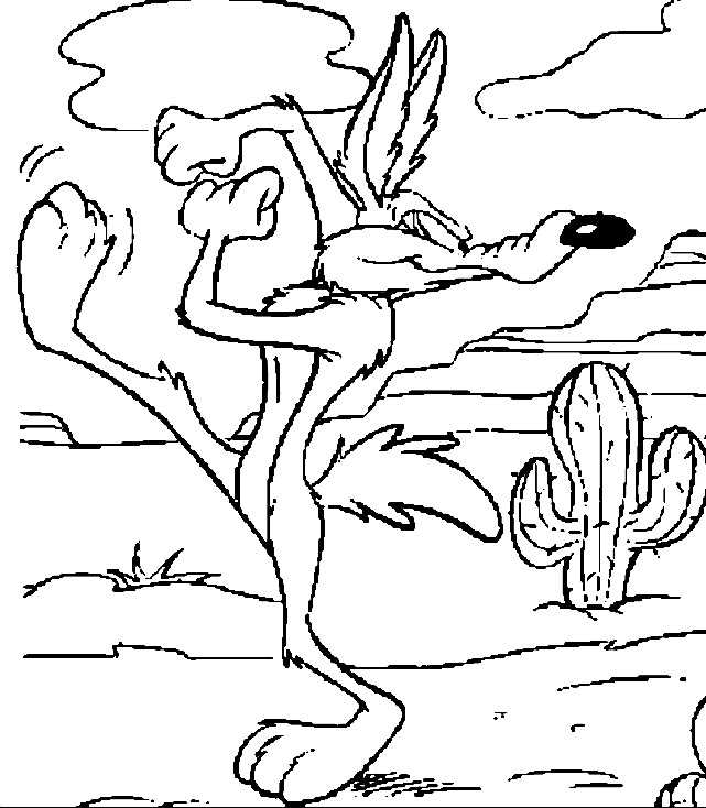 Coyote #3221