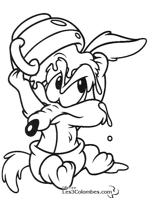 Coyote #3223