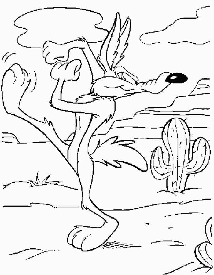 Coyote #3230