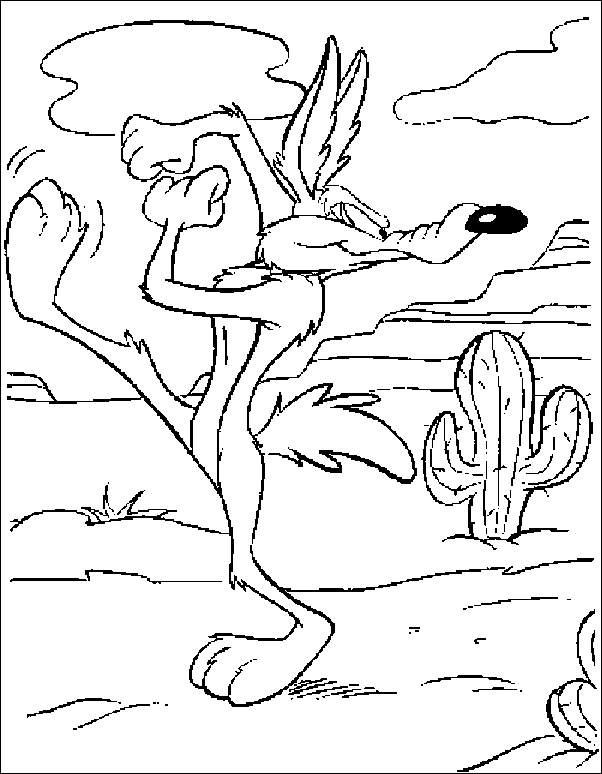 Coyote #3232