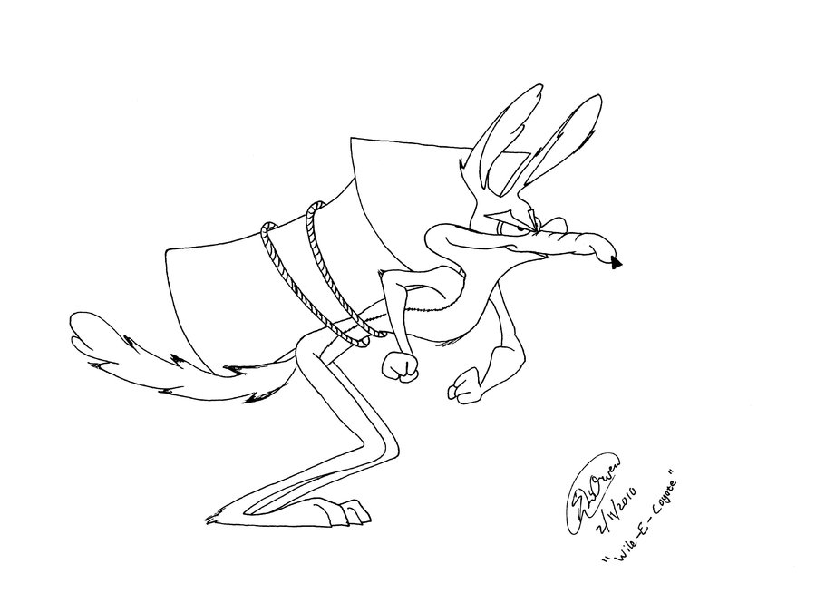 Coyote #3239