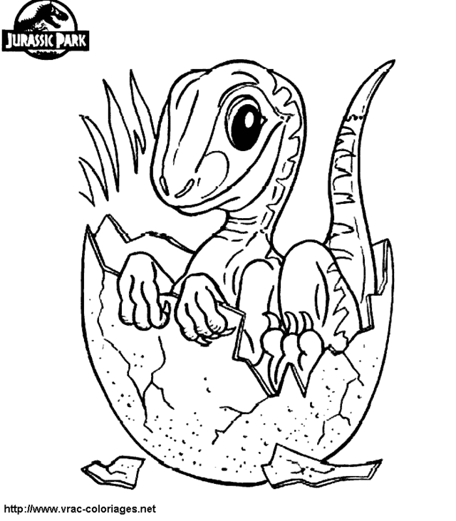 Dinosaurio #3407