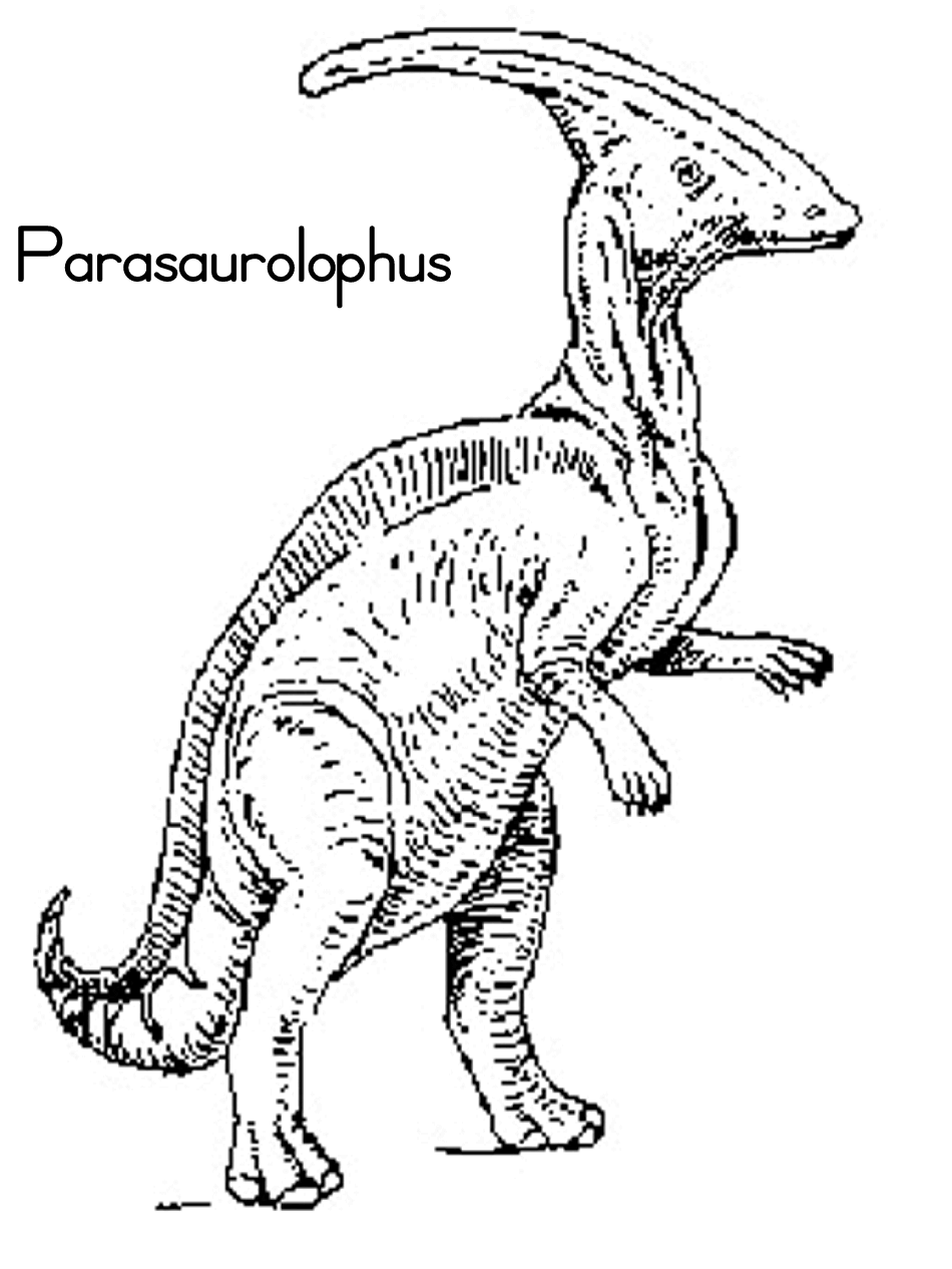 Dinosaurio #3411
