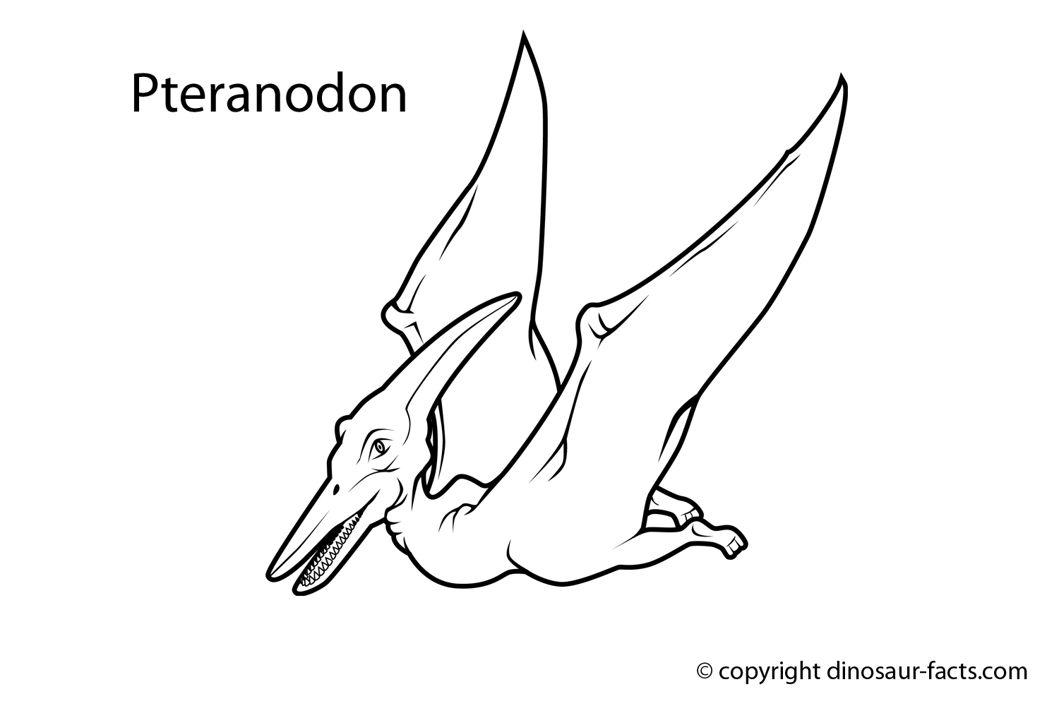 Dinosaurio #3414