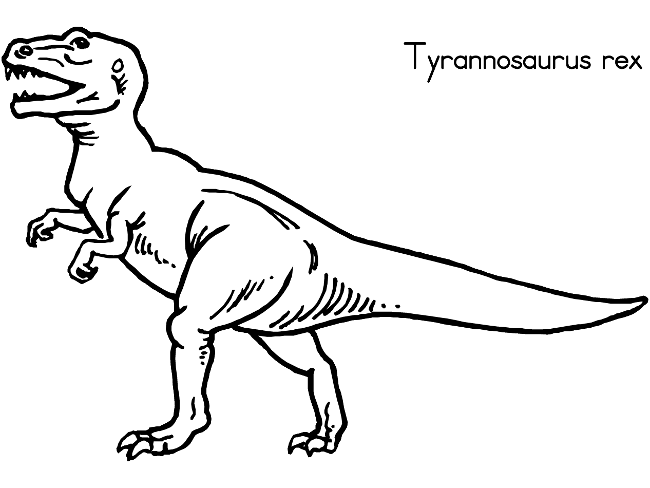 Dinosaurio #3423