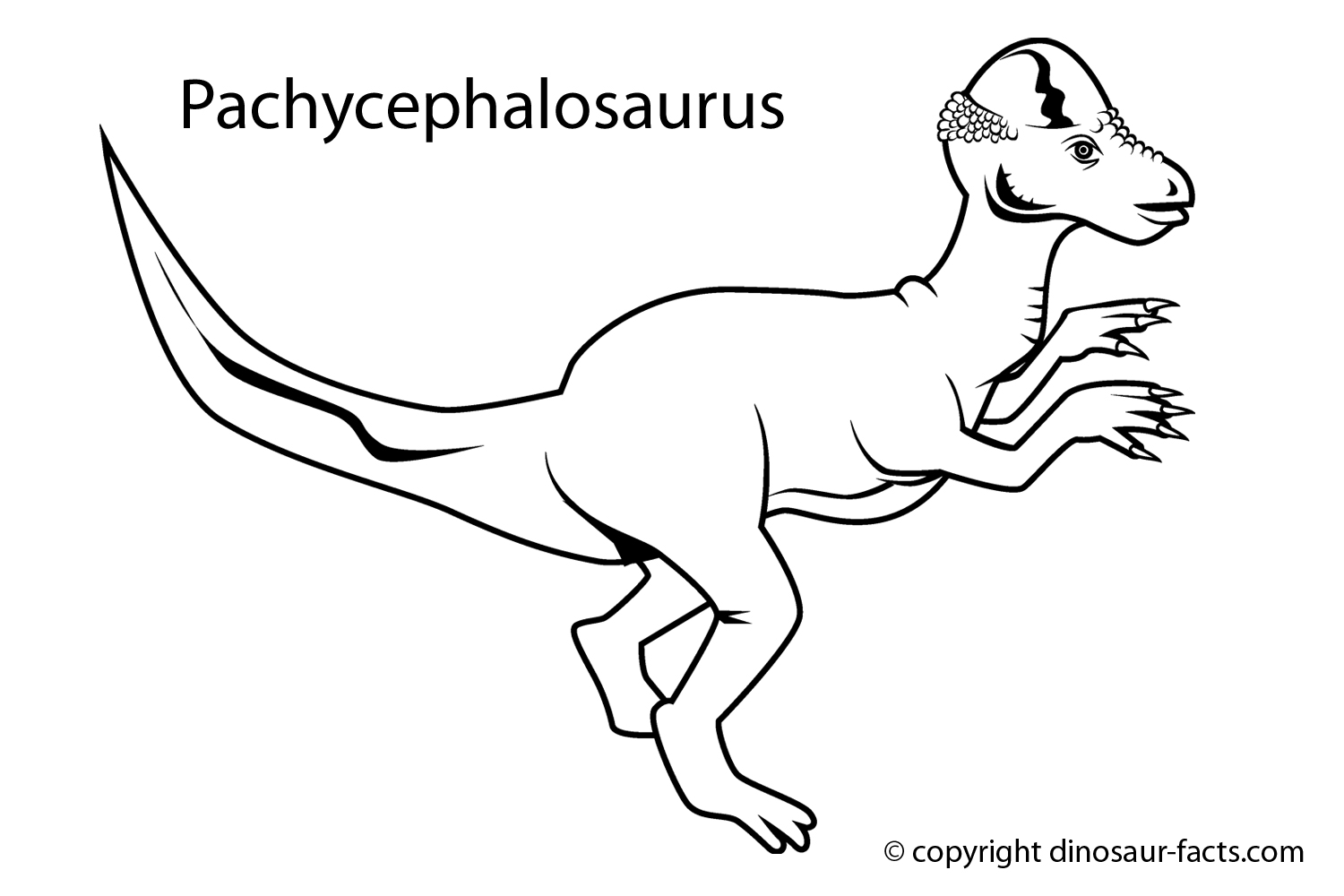 Dinosaurio #3430