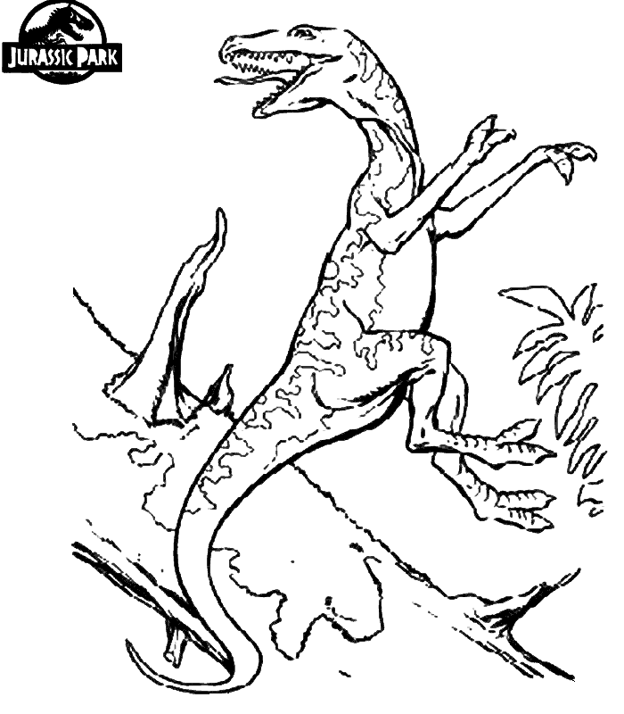 Dinosaurio #3443