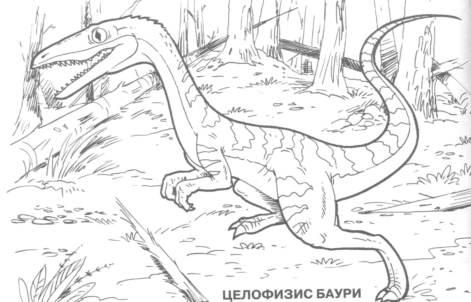 Dinosaurio #3446