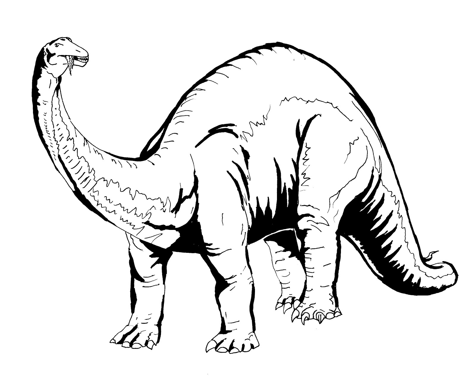 Dinosaurio #3448