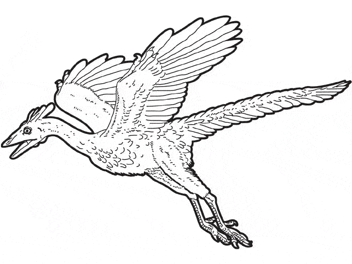 Dinosaurio #3452
