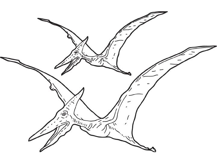 Dinosaurio #3457