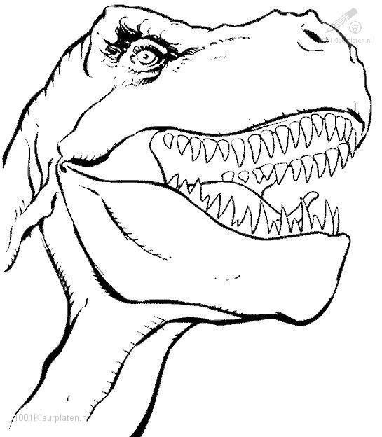 Dinosaurio #3468