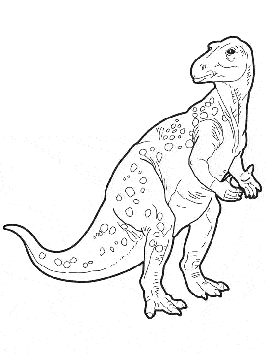 Dinosaurio #3479