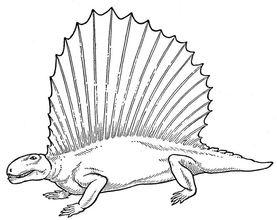 Dinosaurio #3481