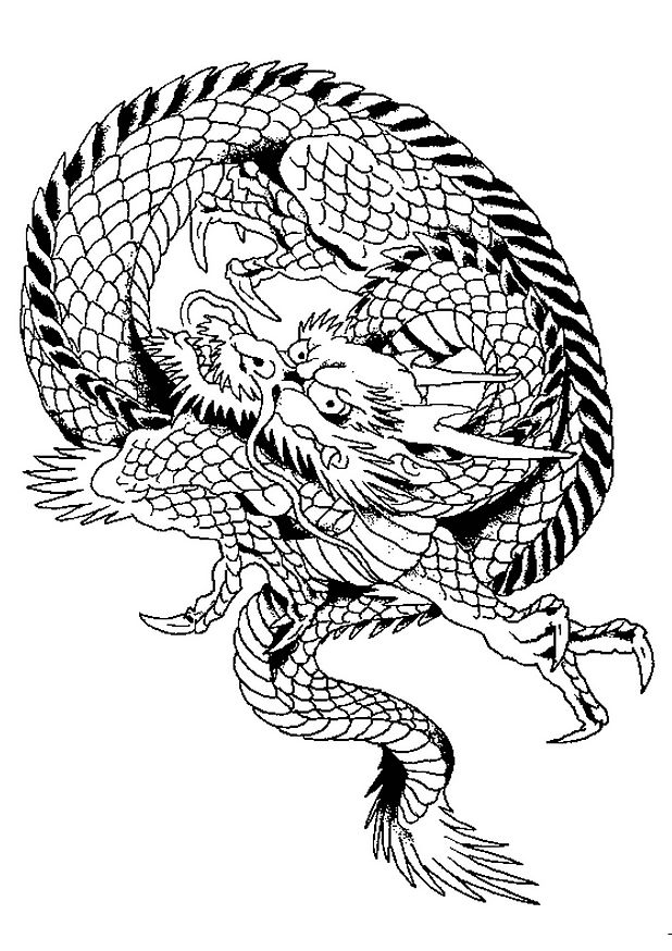 Dragón #3557