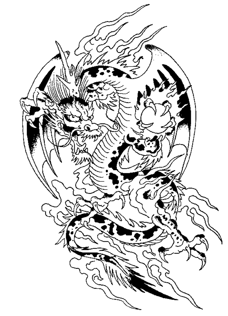 Dragón #3561