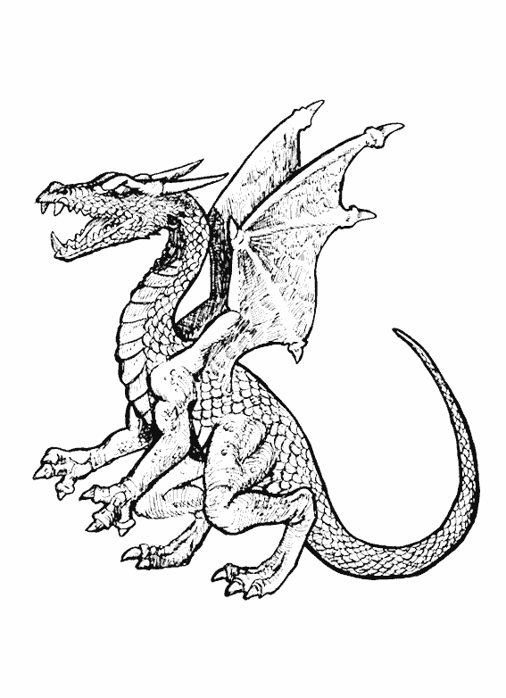 Dragón #3569