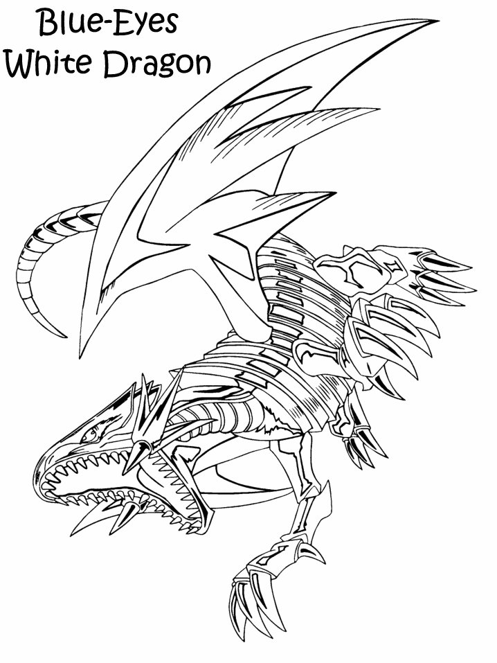 Dragón #3586