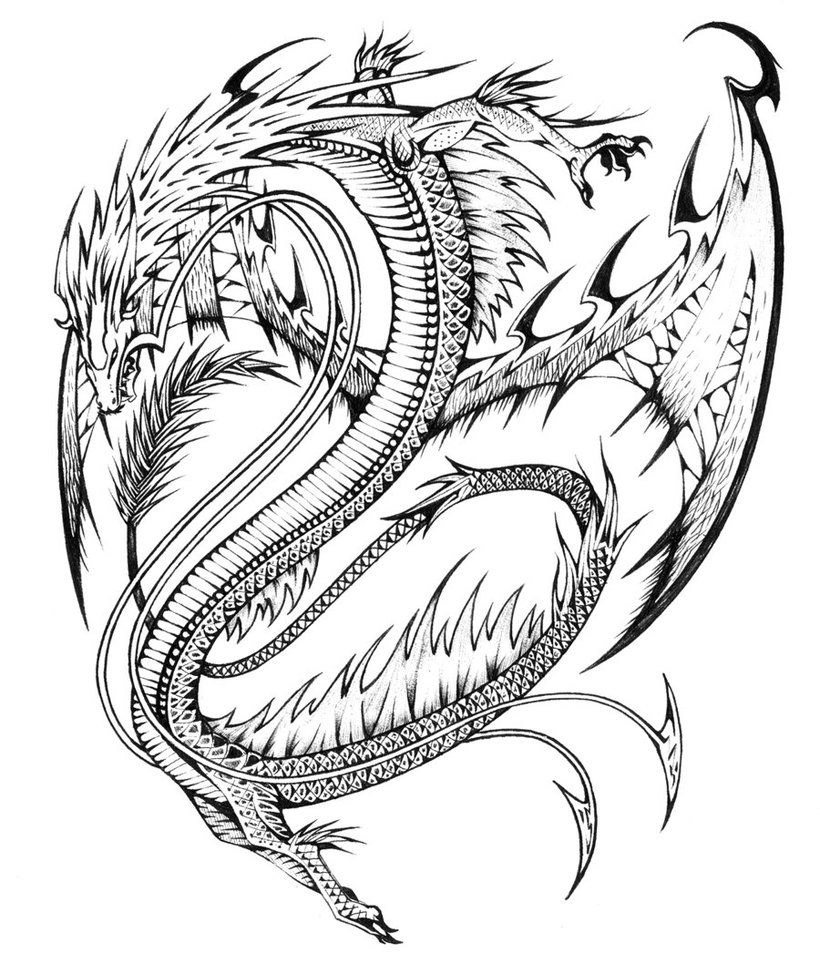Dragón #3587