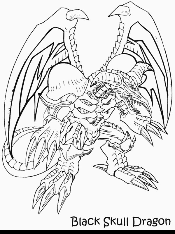 Dragón #3590