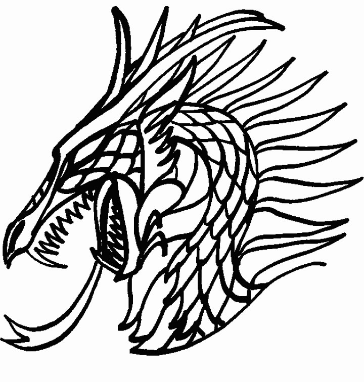 Dragón #3591