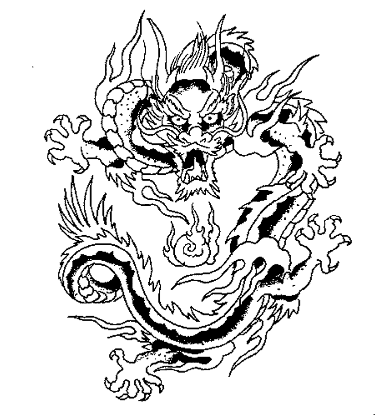 Dragón #3593