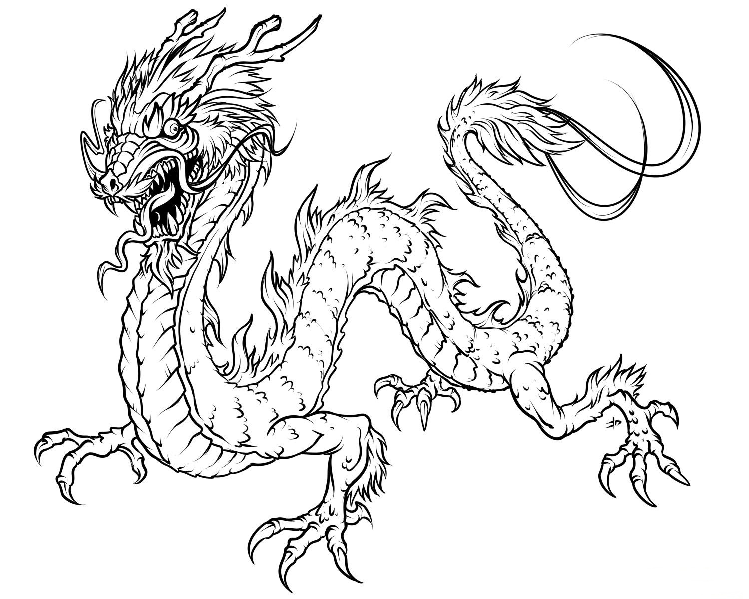 Dragón #3595