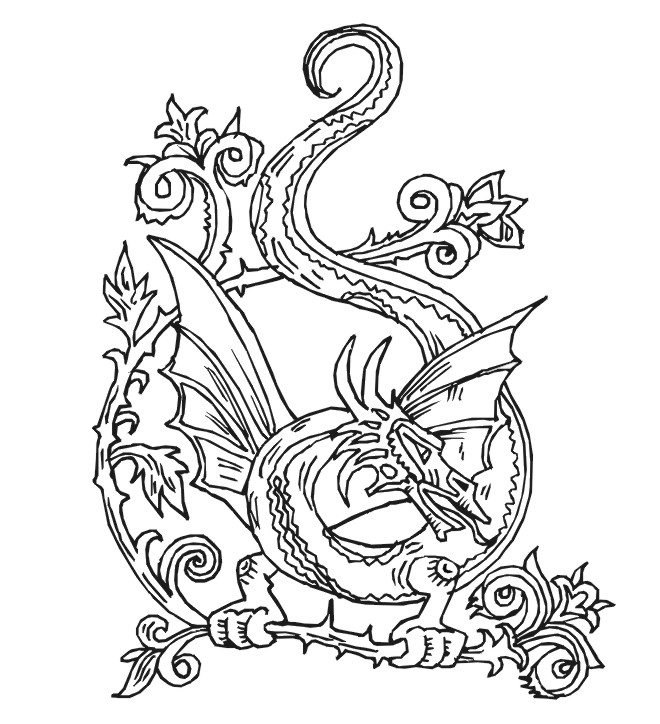 Dragón #3613