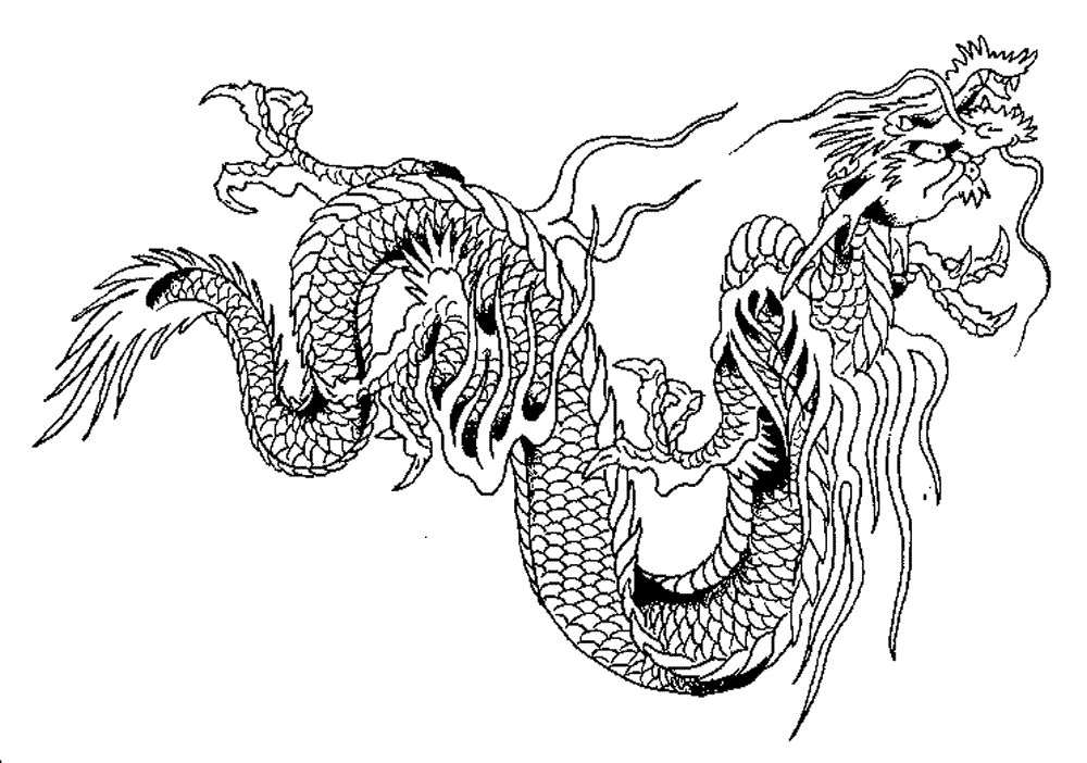 Dragón #3620