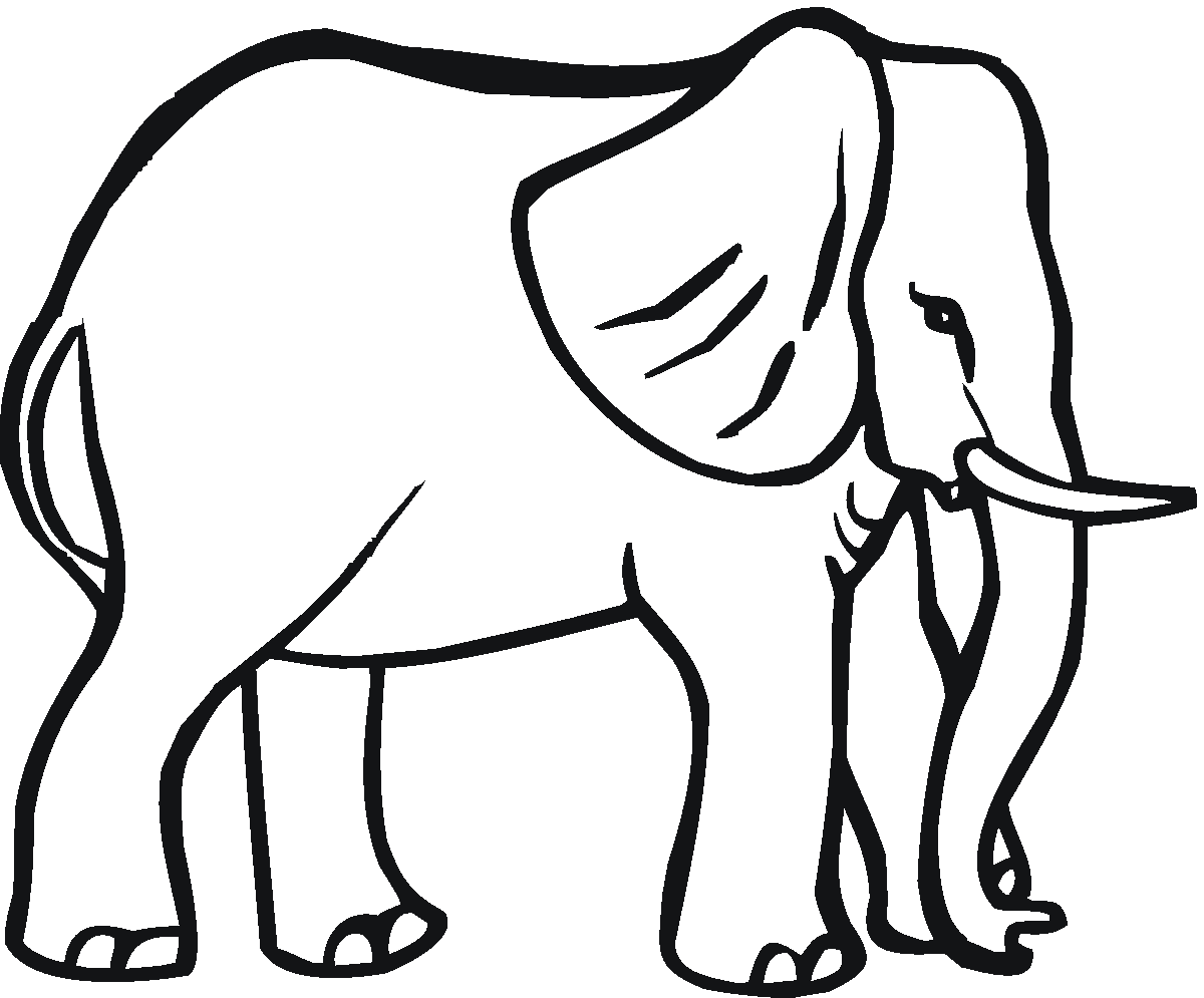 Elefante #3751
