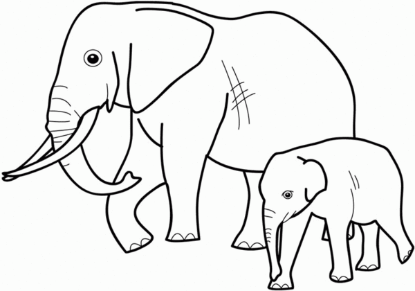 Elefante #3753