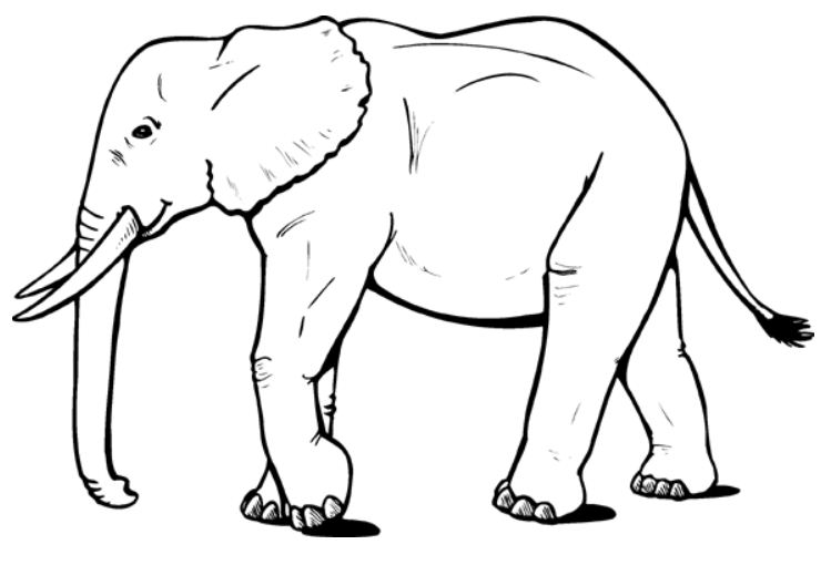 Elefante #3754