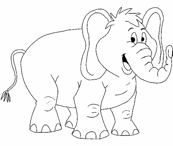 Elefante #3756