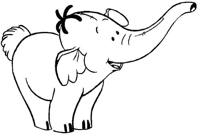 Elefante #3761