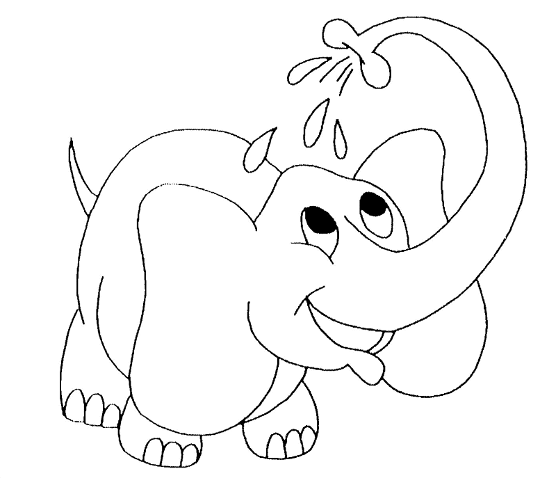 Elefante #3769