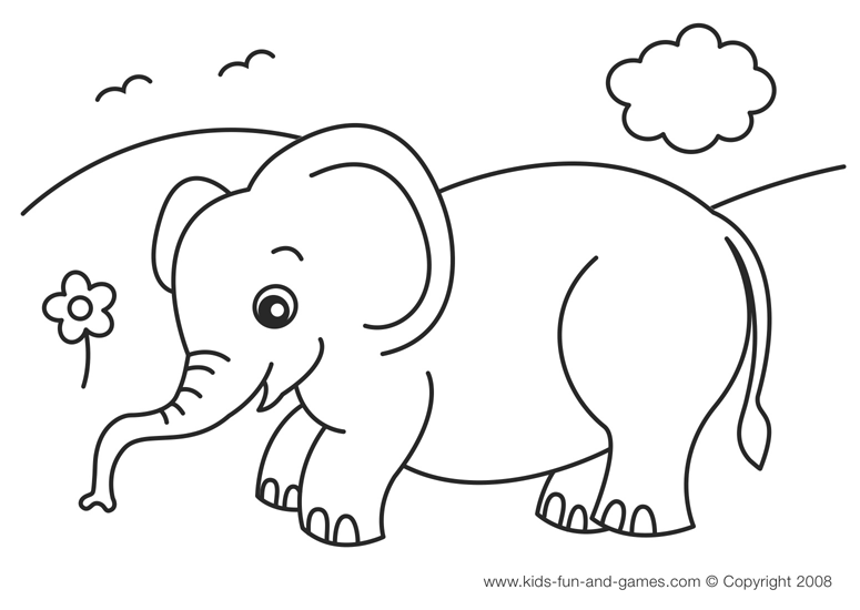 Elefante #3770