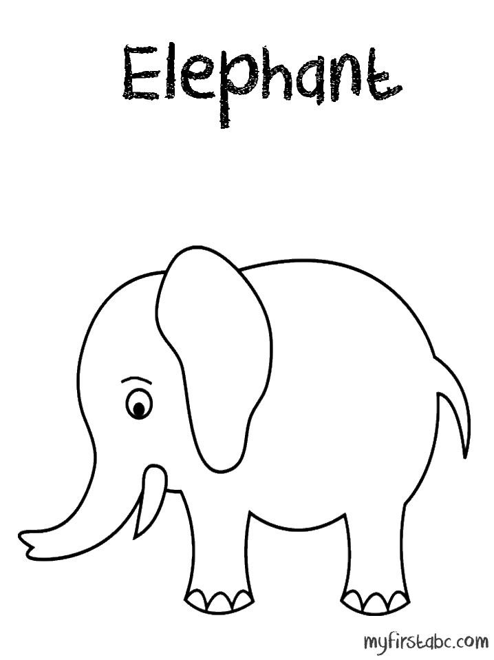 Elefante #3774