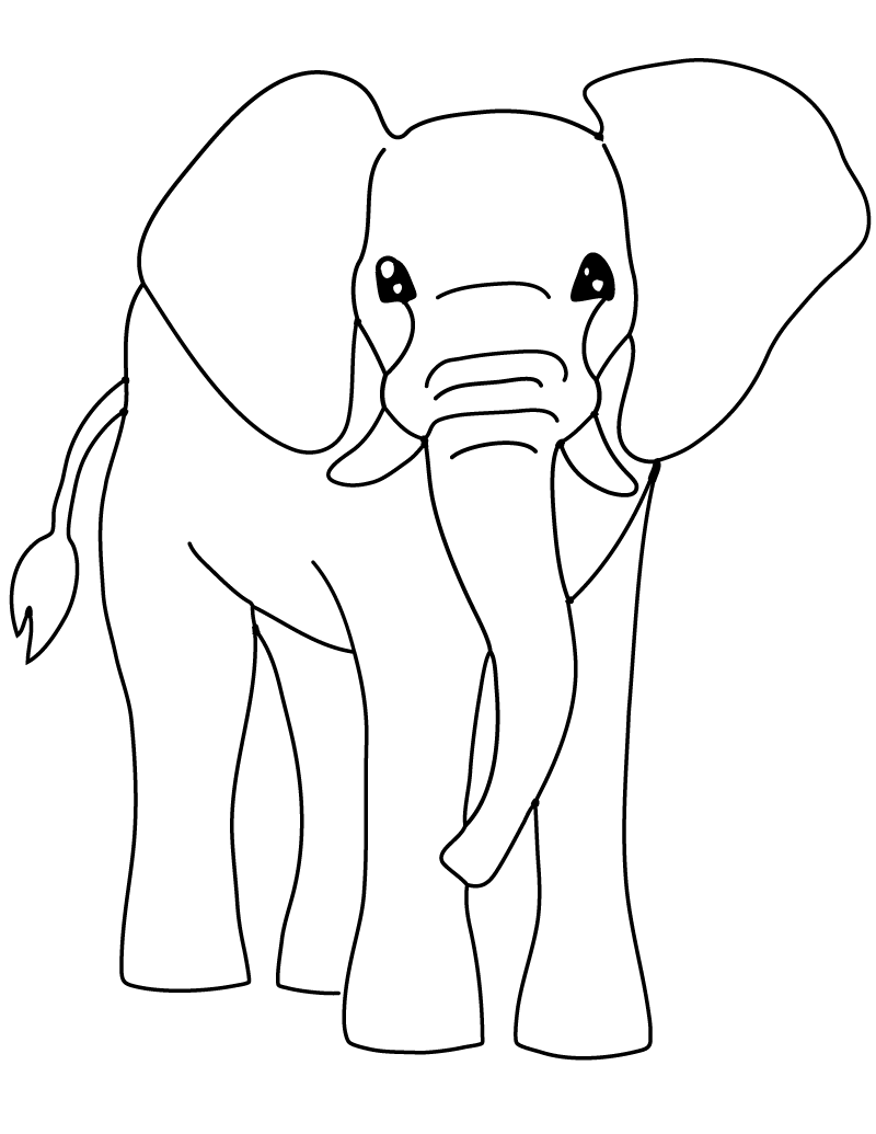 Elefante #3777