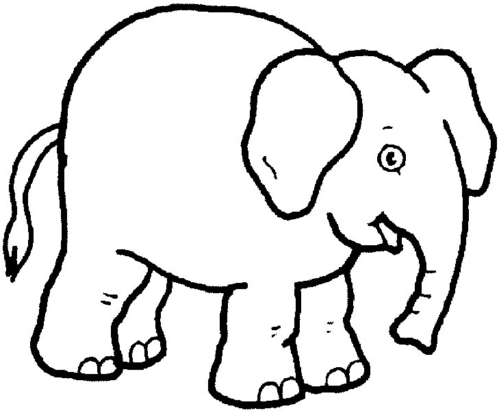 Elefante #3779